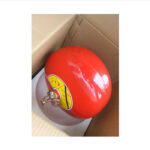 tcv-qua-cau-chua-chay-8kg-abc